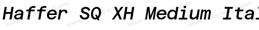 Haffer SQ XH Medium Italic字体转换
